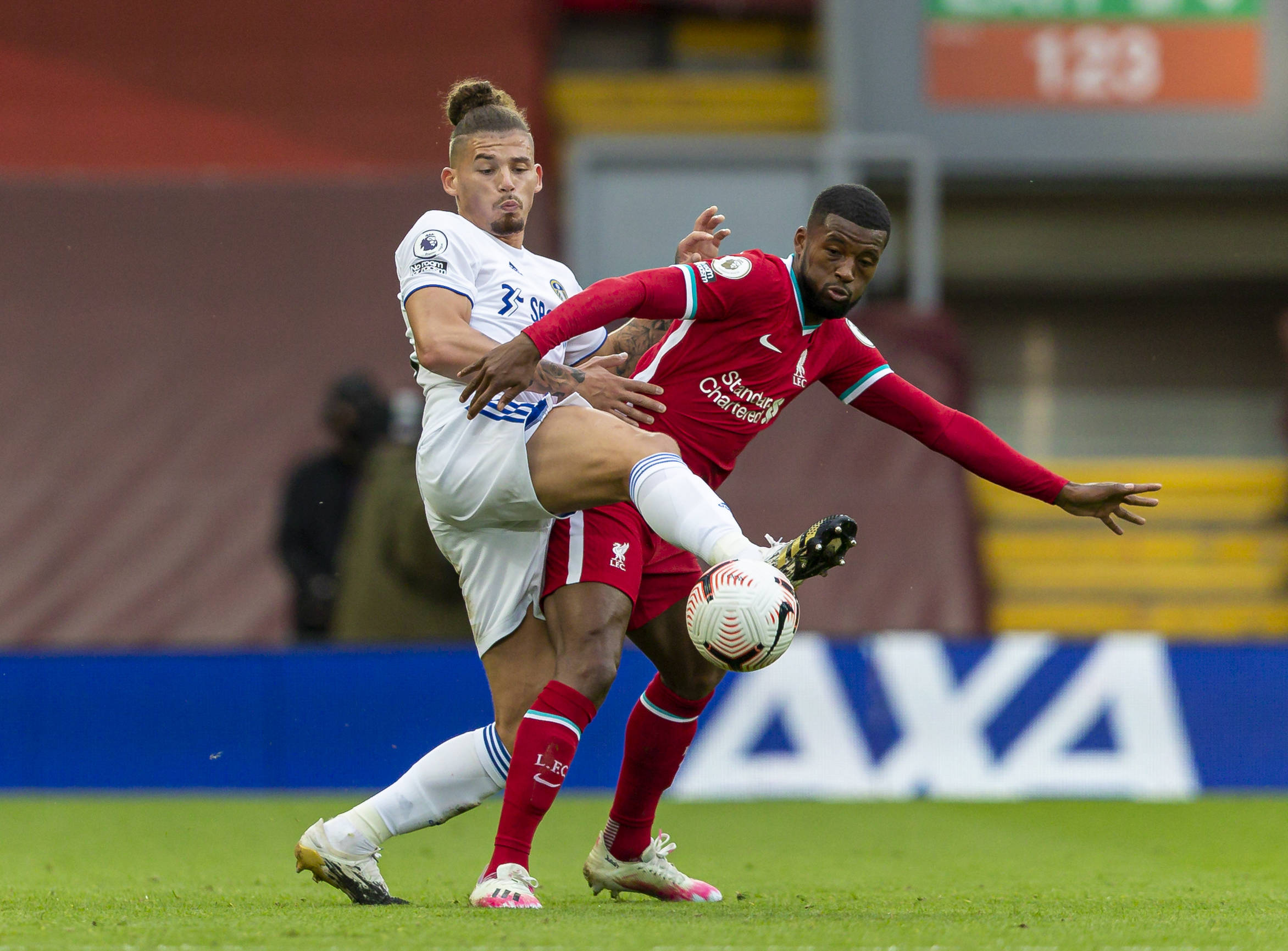 地的精神提 地的精神提